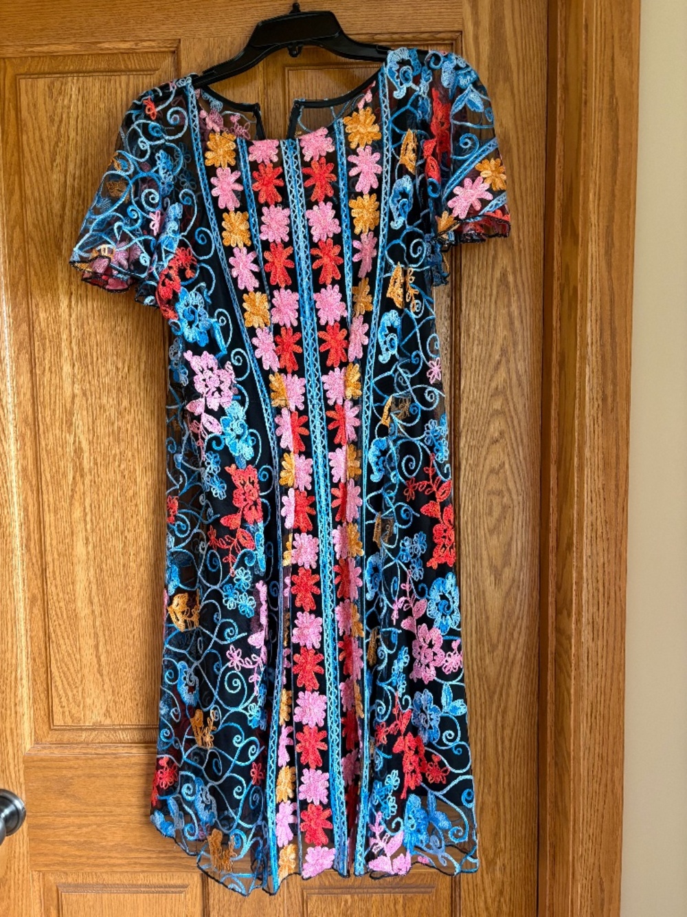 EUC Eva Franco size 8 embroidered dress